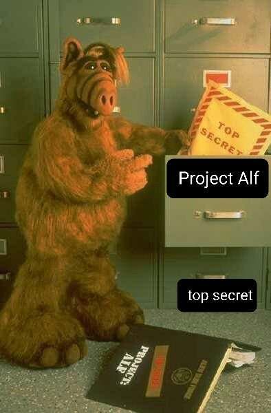 Project Alf'